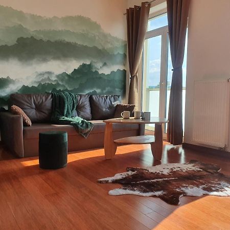 Apartman S Wellness Apartment Karlovy Vary Ngoại thất bức ảnh