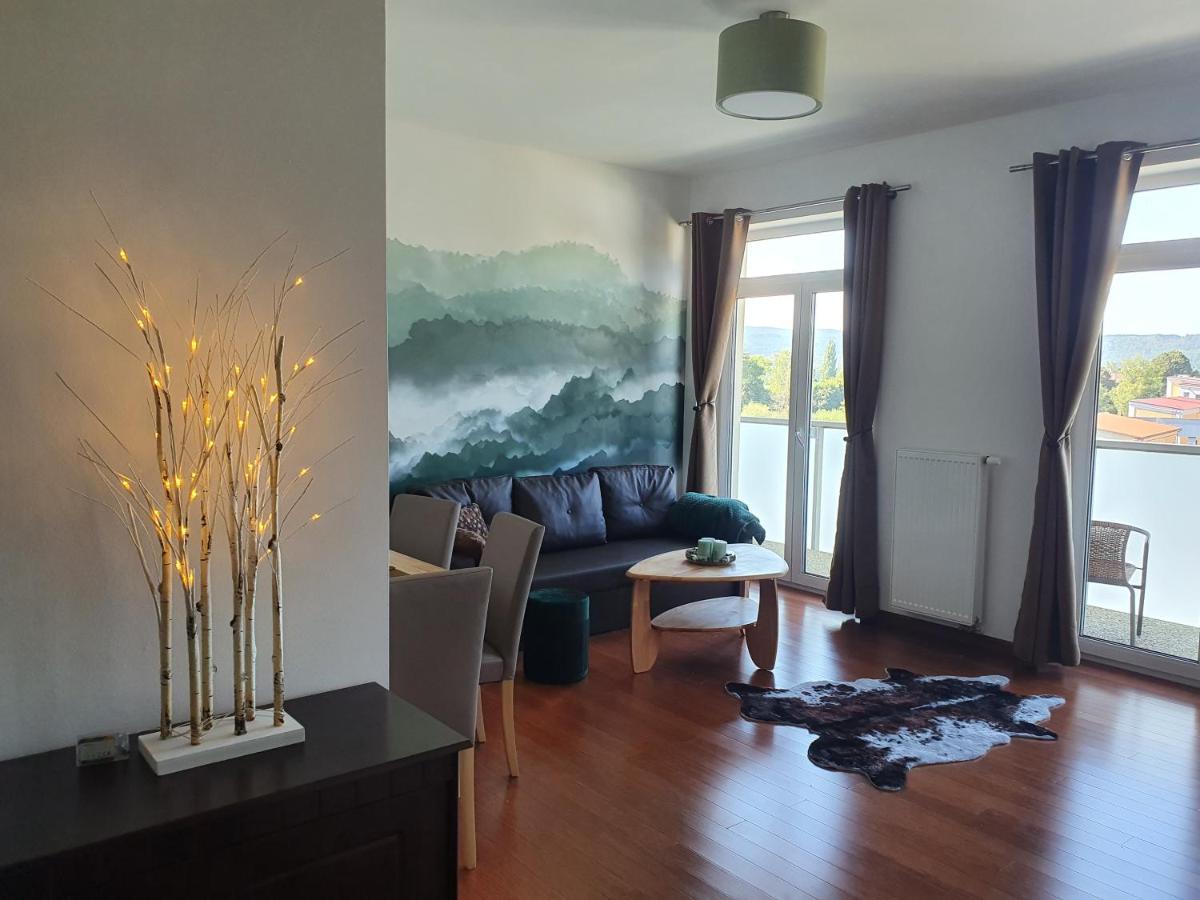 Apartman S Wellness Apartment Karlovy Vary Ngoại thất bức ảnh